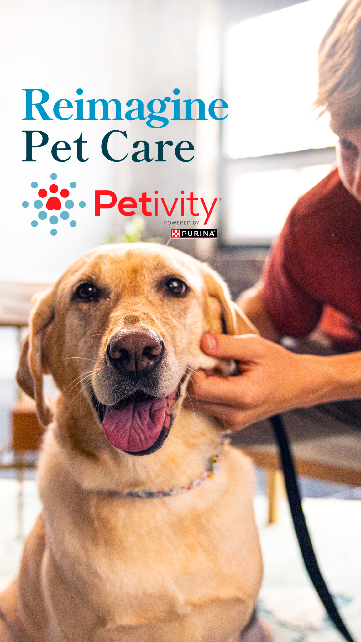 Petivity Facebook ad