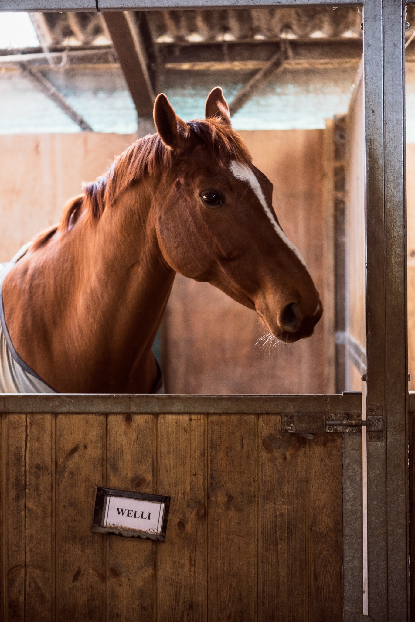 Horse Herbs Facebook ad