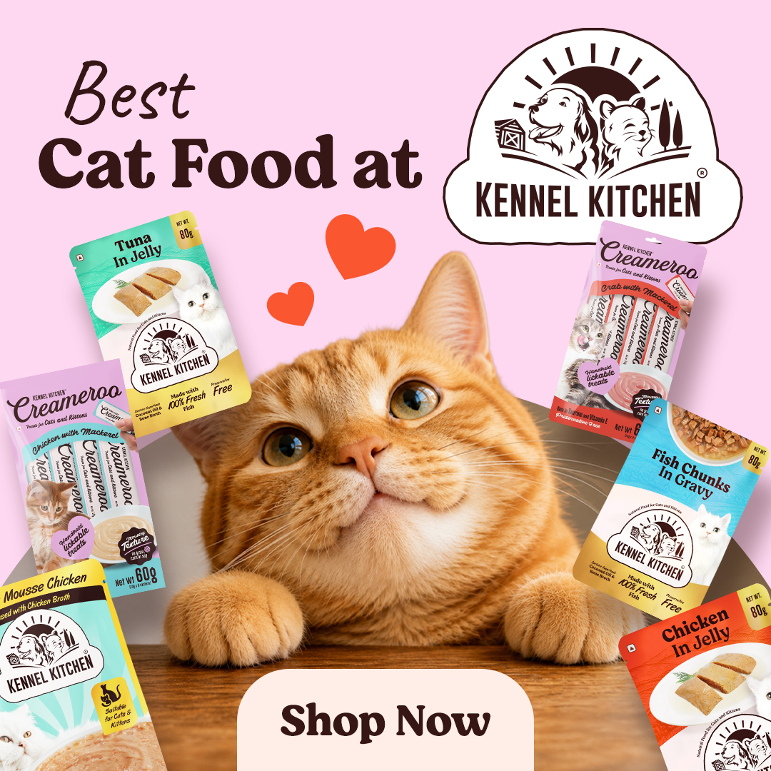 Kennel Kitchen Facebook ad