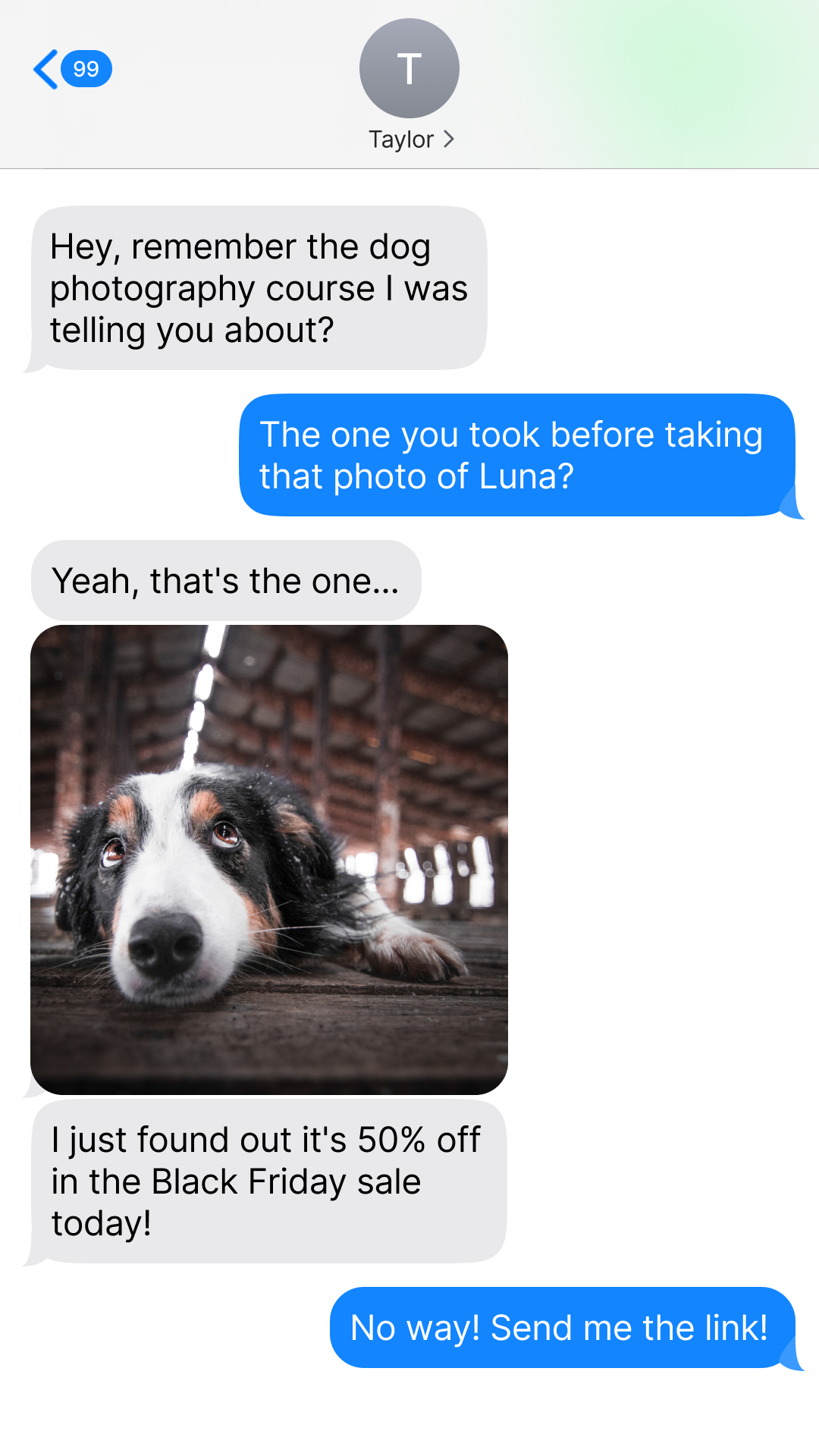 Expert Photography Facebook ad