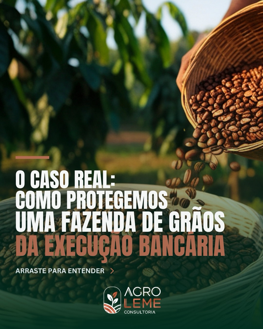 Agro Leme Consultoria Facebook ad: Você já imaginou o esforço da sua vida…