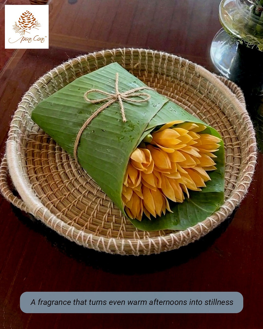 Pine Cone Store Facebook ad