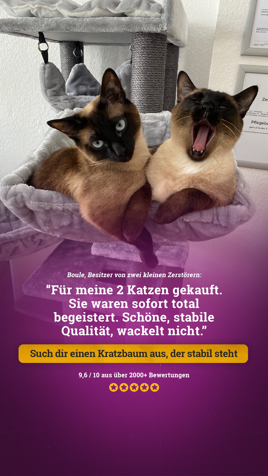 petrebels.com Facebook ad