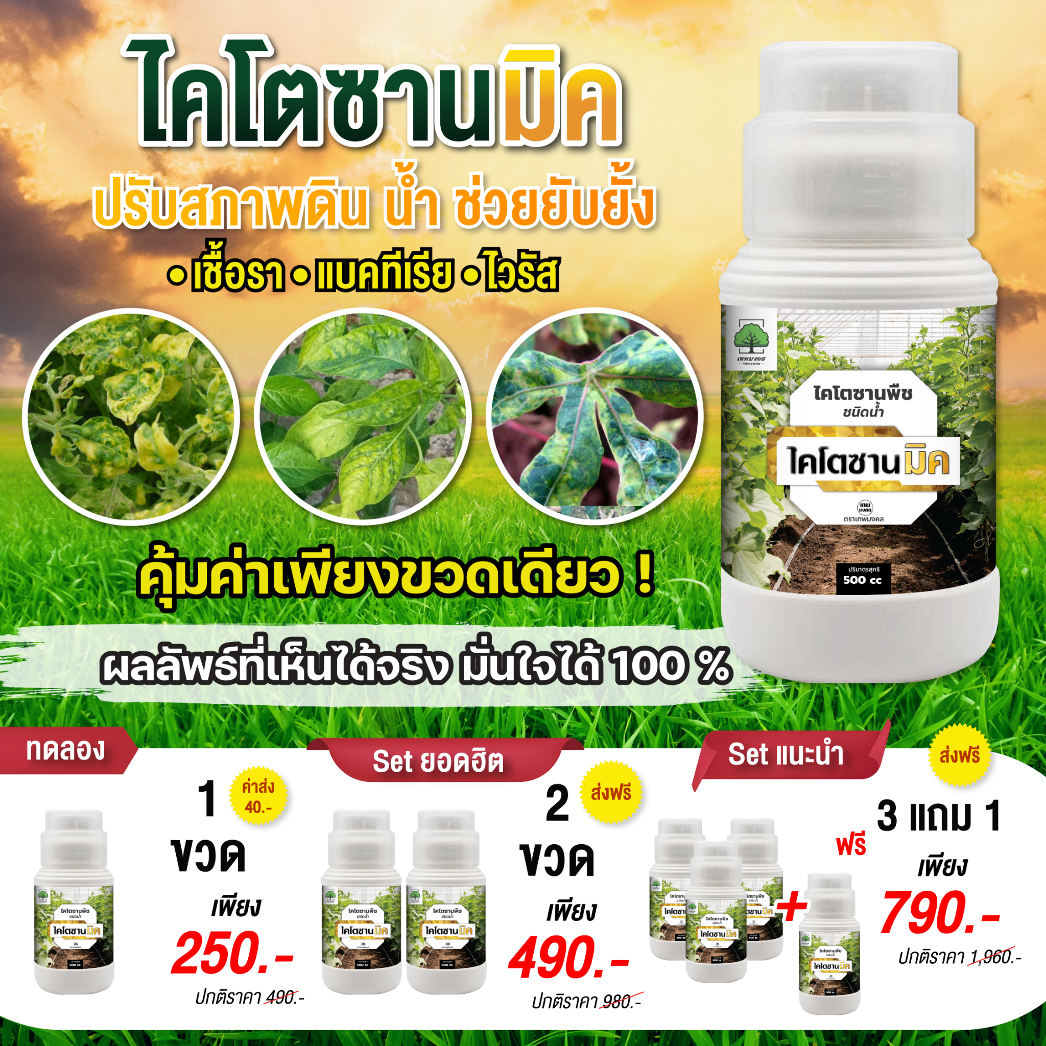 ไคโตซานมิค สูตรพรีเมี่ยม เพิ่มภูมิต้านทาน Facebook ad