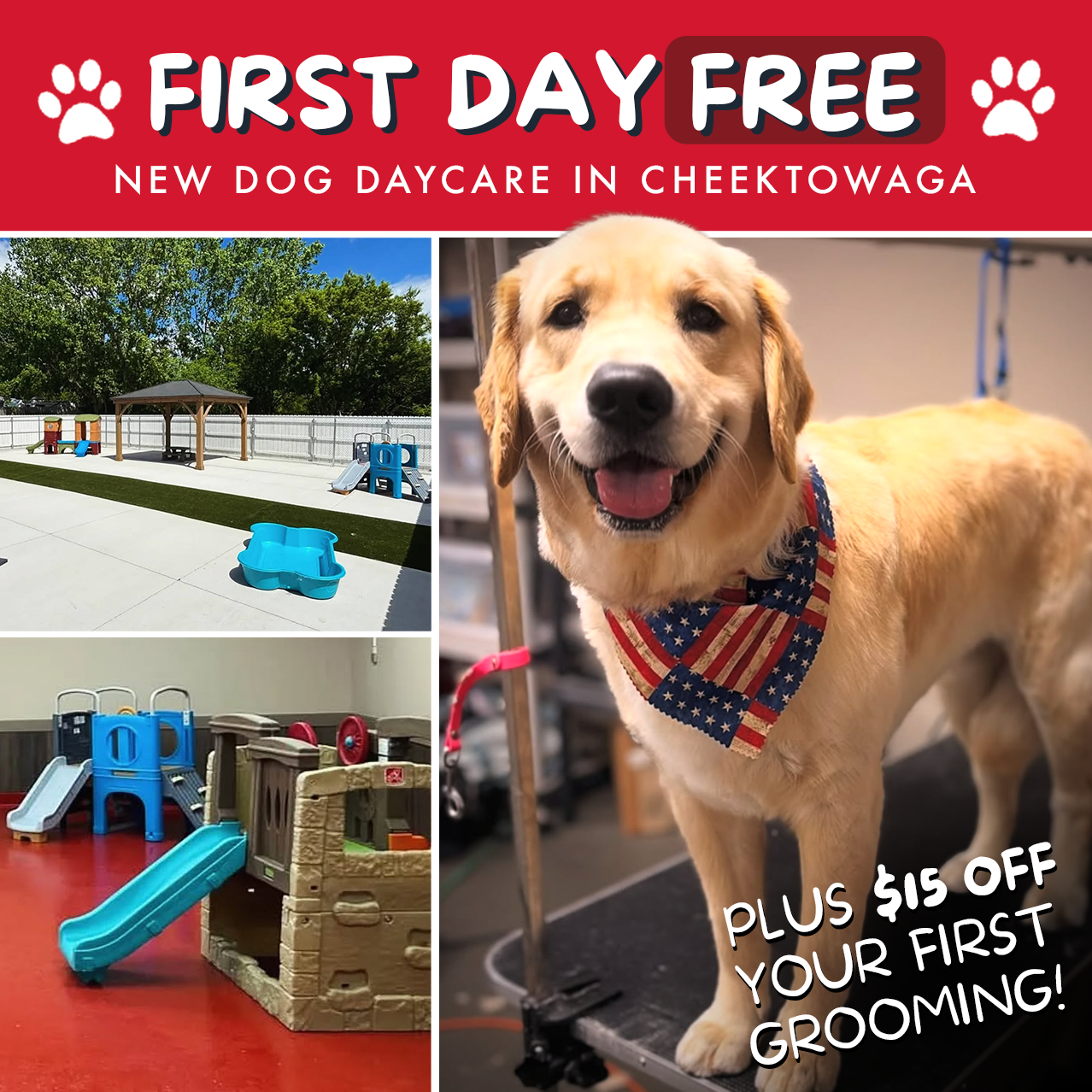 Dog Days of Buffalo Facebook ad: Dog Daycare & Grooming Offer