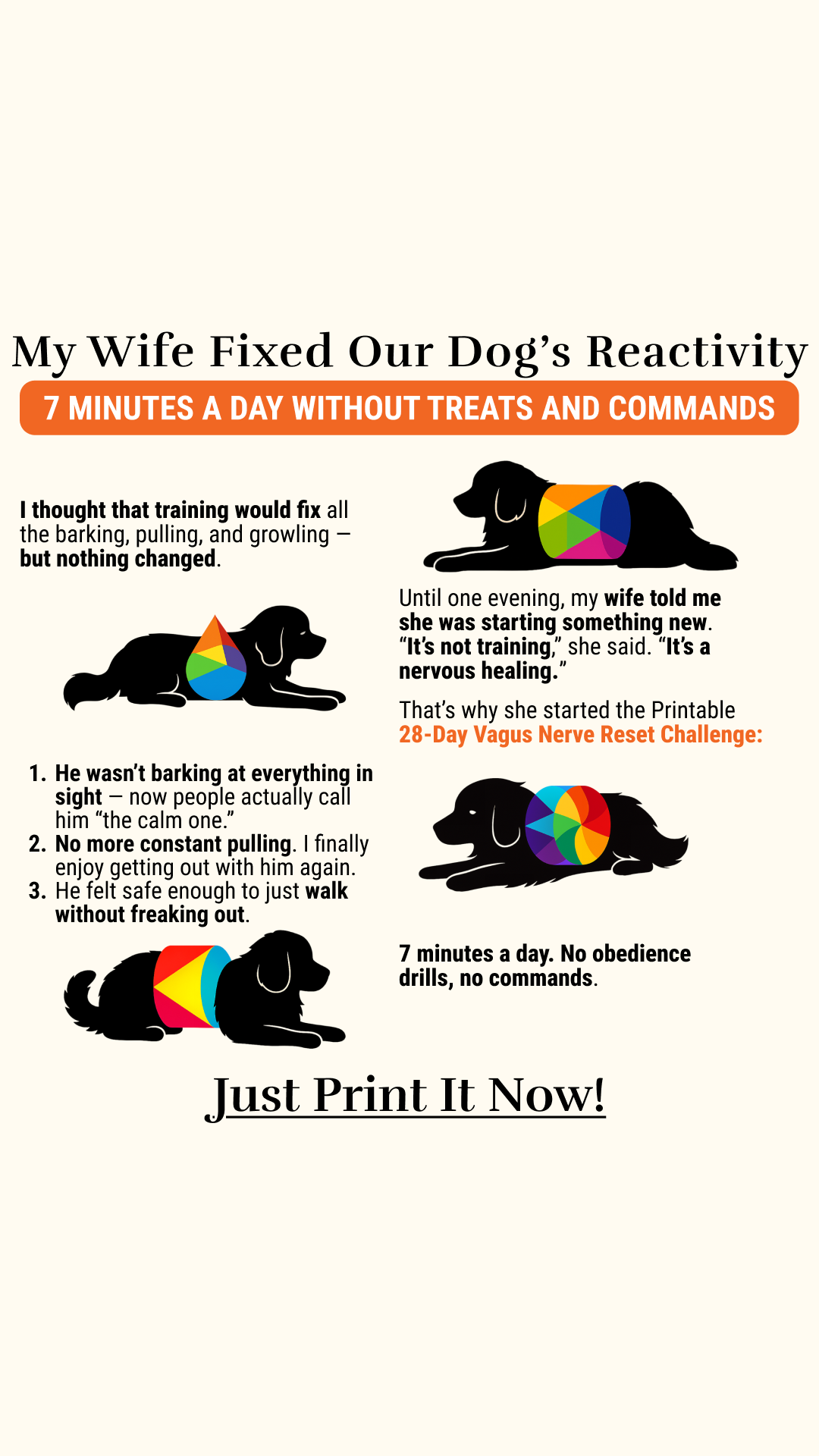 Dog's Vagus Nerve Reset Challenge Facebook ad