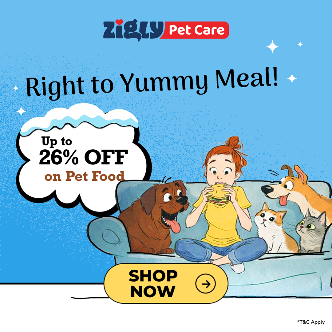 Zigly Facebook ad