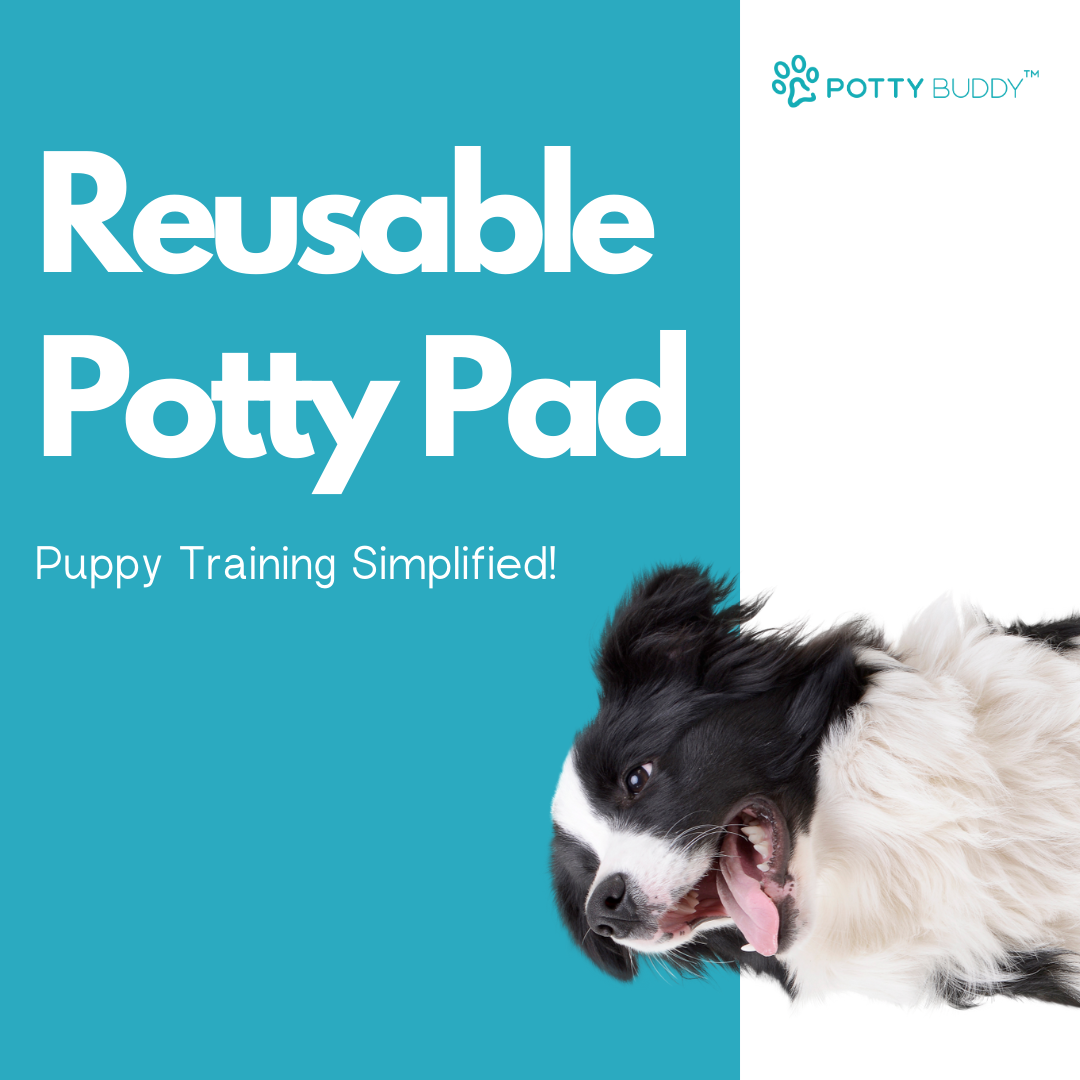 Potty Buddy Facebook ad
