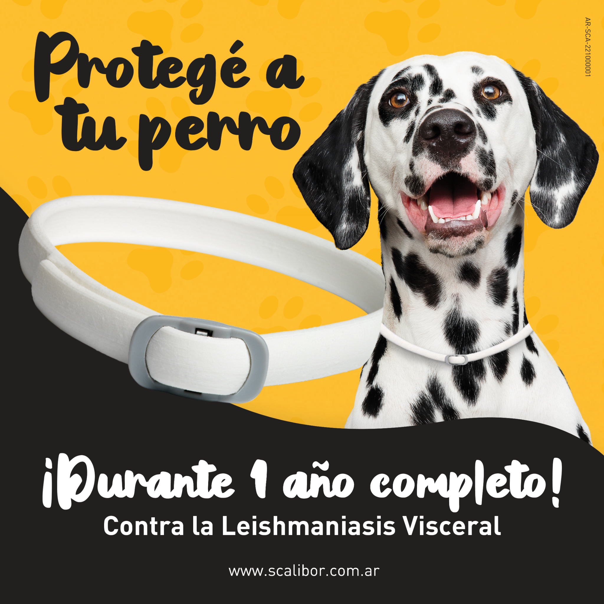 Mascotas Sanas y Divertidas Facebook ad