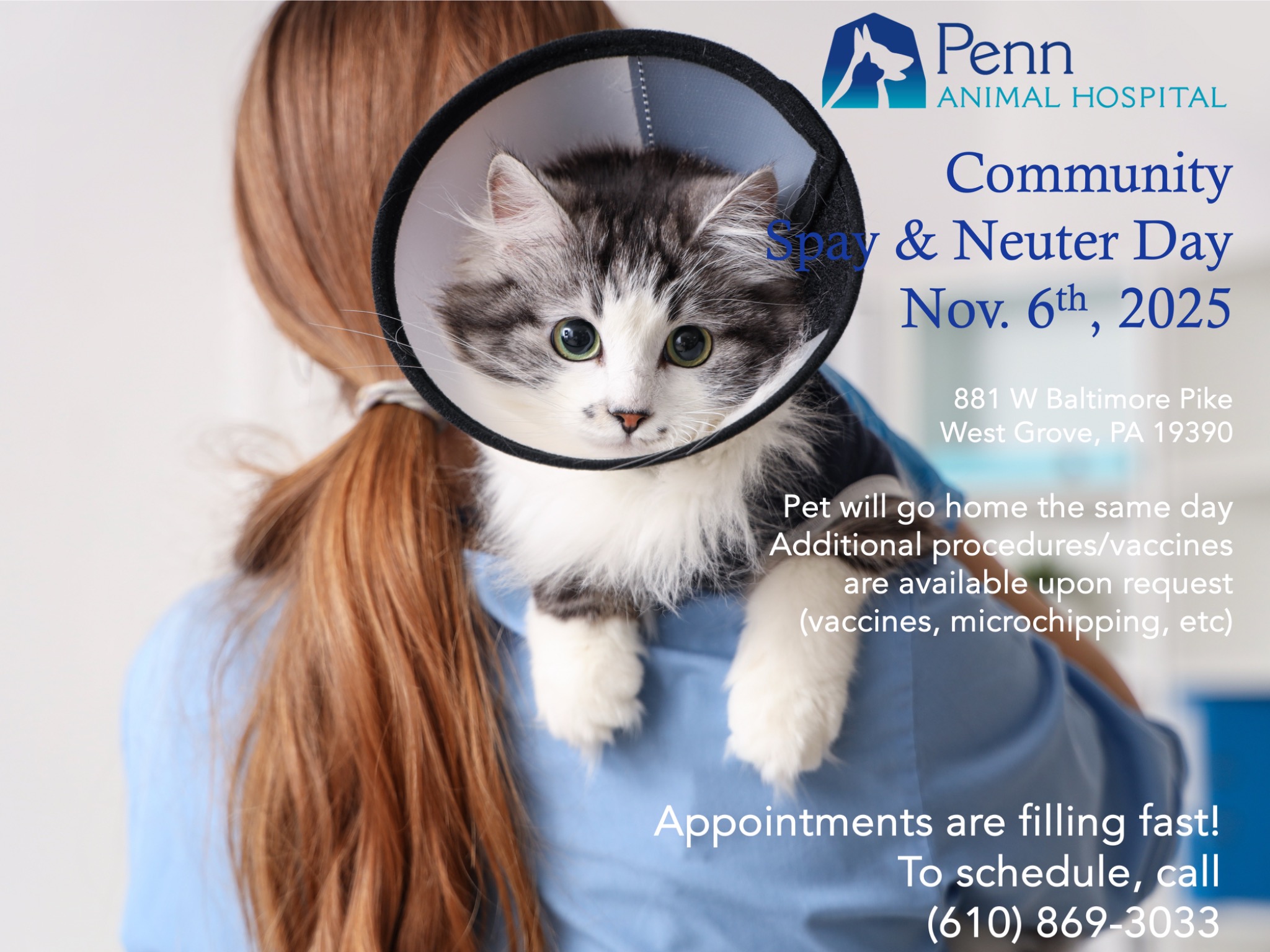 Penn Animal Hospital Facebook ad: It's time to spay & neuter your four…