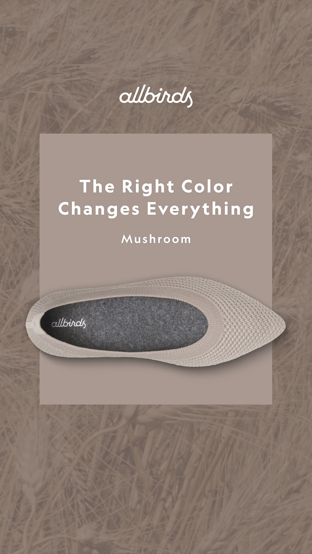 Allbirds Facebook ad