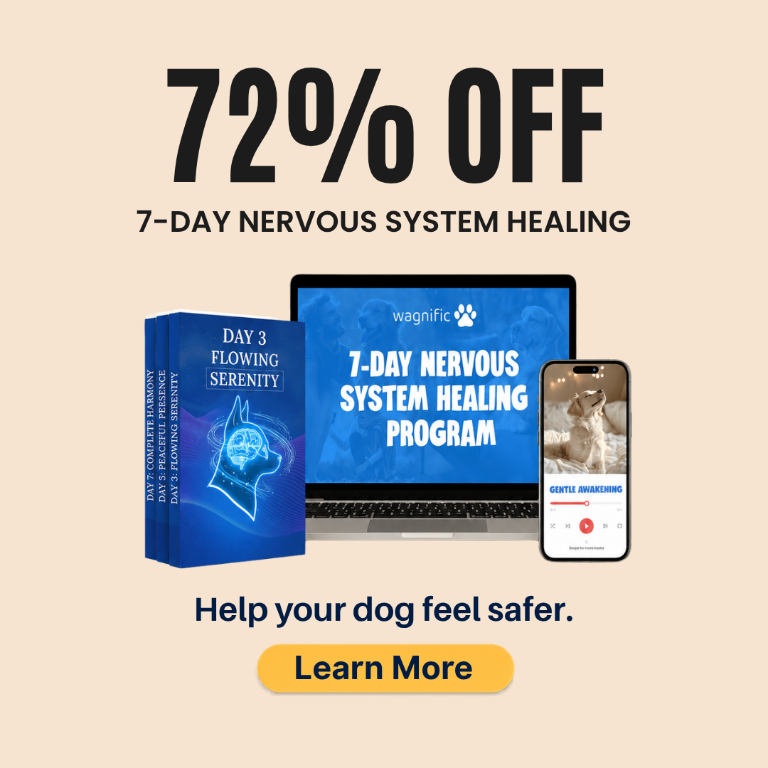 Wagnific Facebook ad
