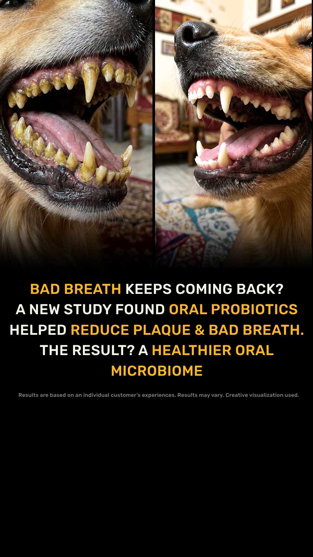 Absolut Pet India Facebook ad