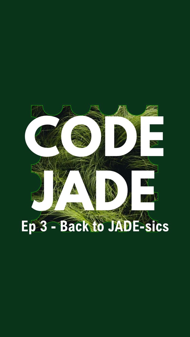 Cult Jade Facebook ad: Jade Jewelry for the Pretty & Protected.