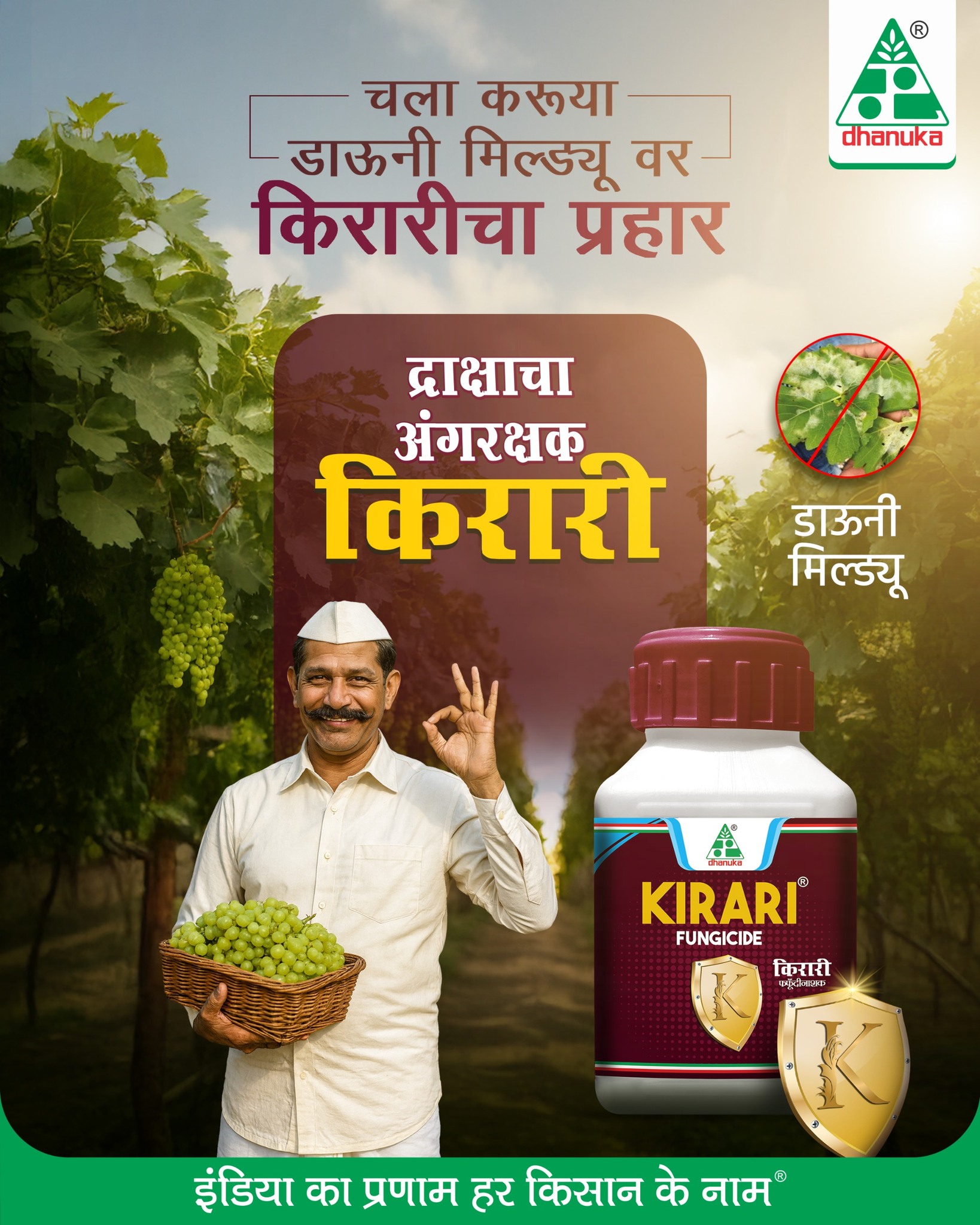 Dhanuka Agritech Ltd Facebook ad: आपल्या द्राक्ष शेतीतील डाऊनी मिल्ड्यु साठी वापरा धानुकाचे…