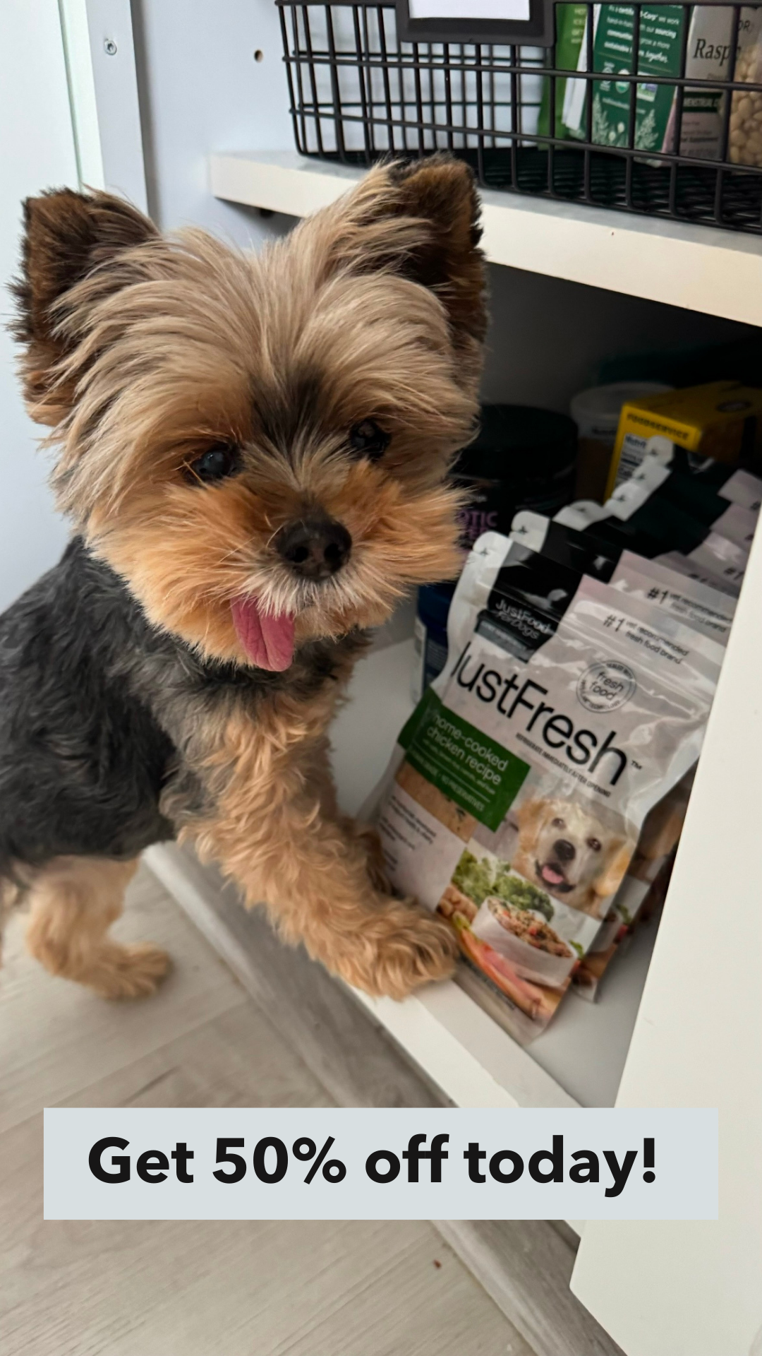 Just Food For Dogs Facebook ad