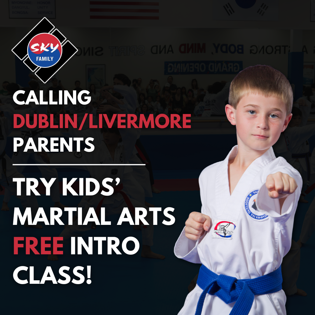 SKY Family Martial Arts Facebook ad: Invest In Your Child's Future!