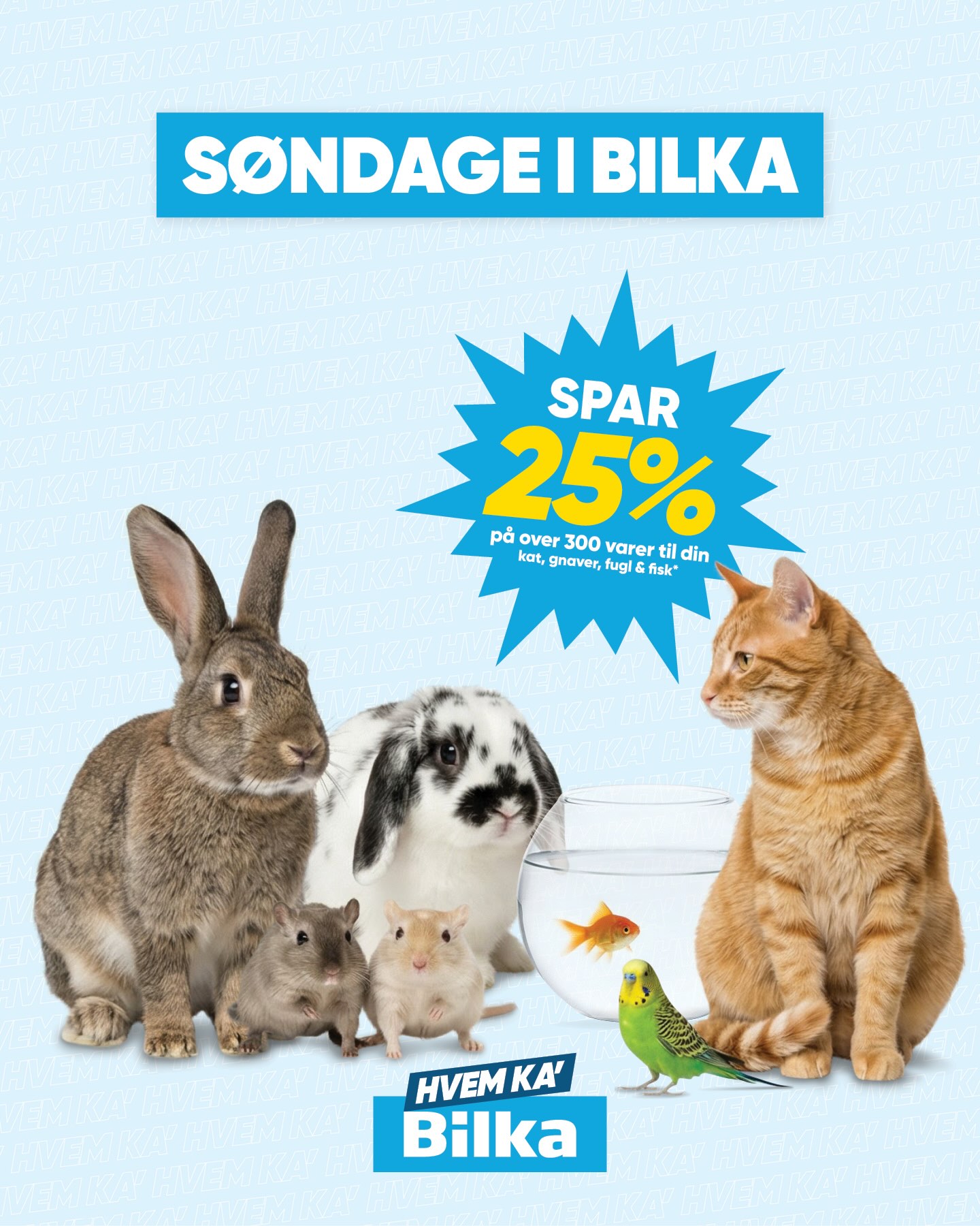 Bilka Facebook ad