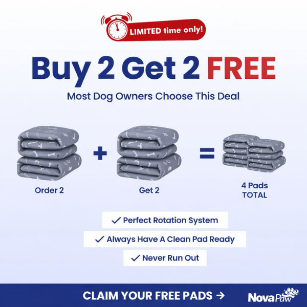 Priscilla Brooks Facebook ad