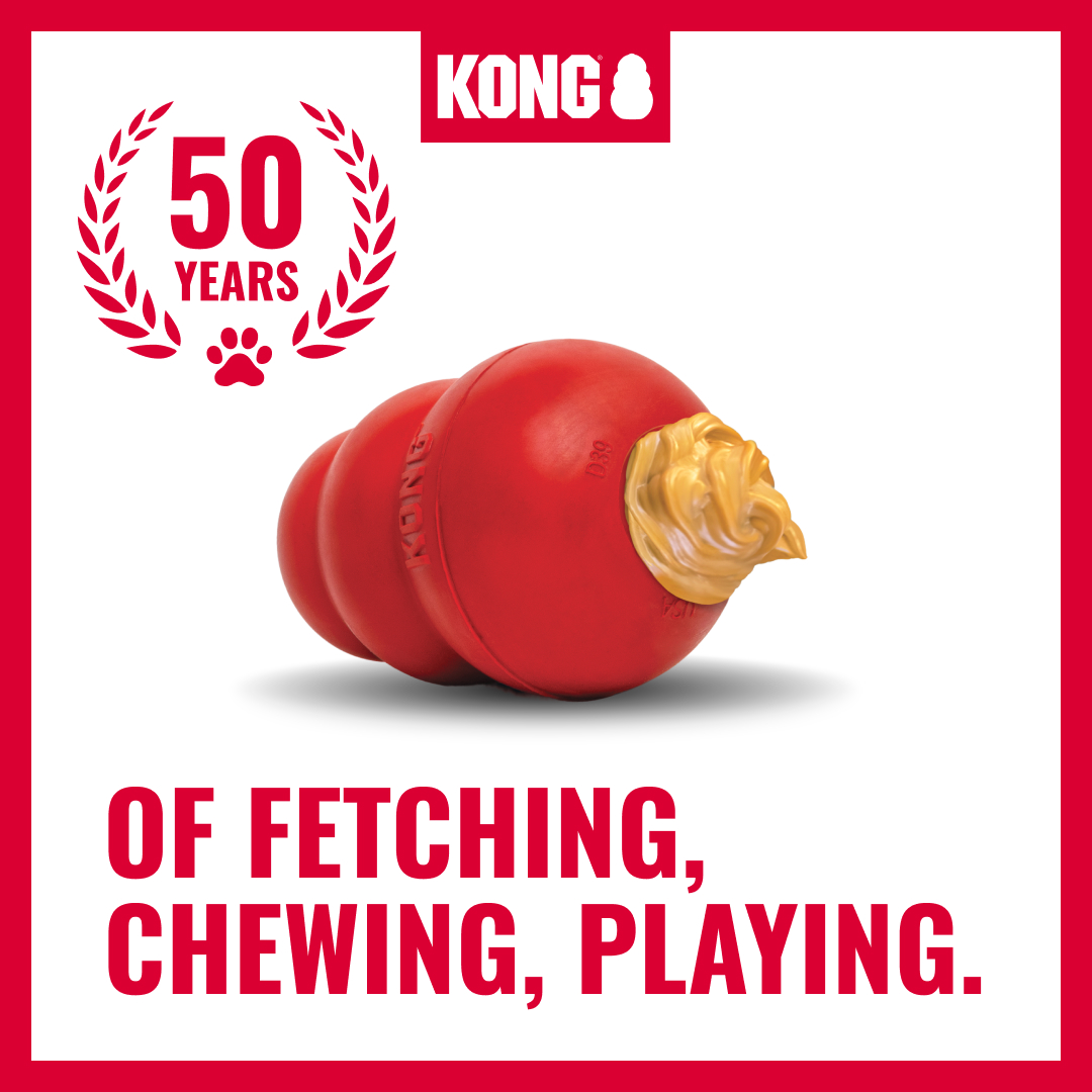 KONG Facebook ad