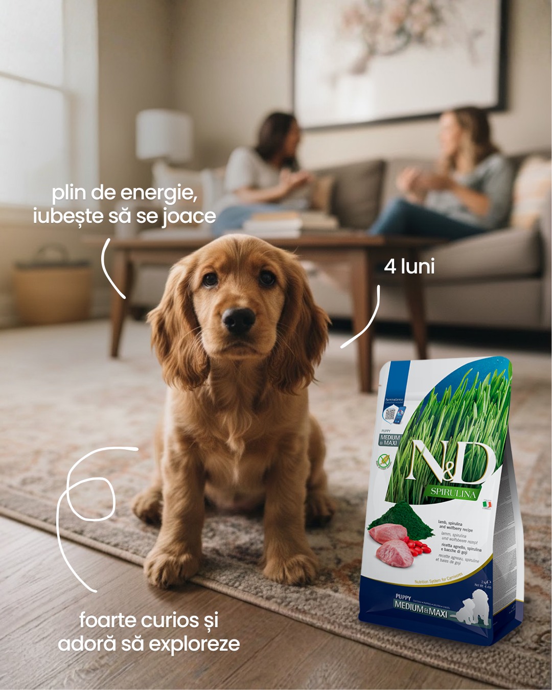 Farmina România Facebook ad: Atunci când întâmpinăm un nou membru al familiei…