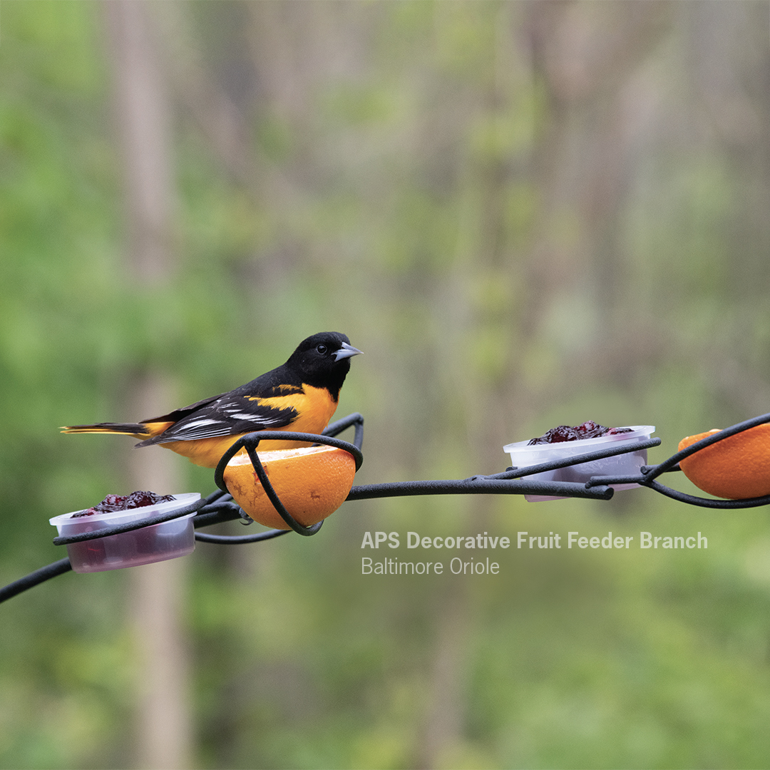 Wild Birds Unlimited Facebook ad from Jul 6, 2026