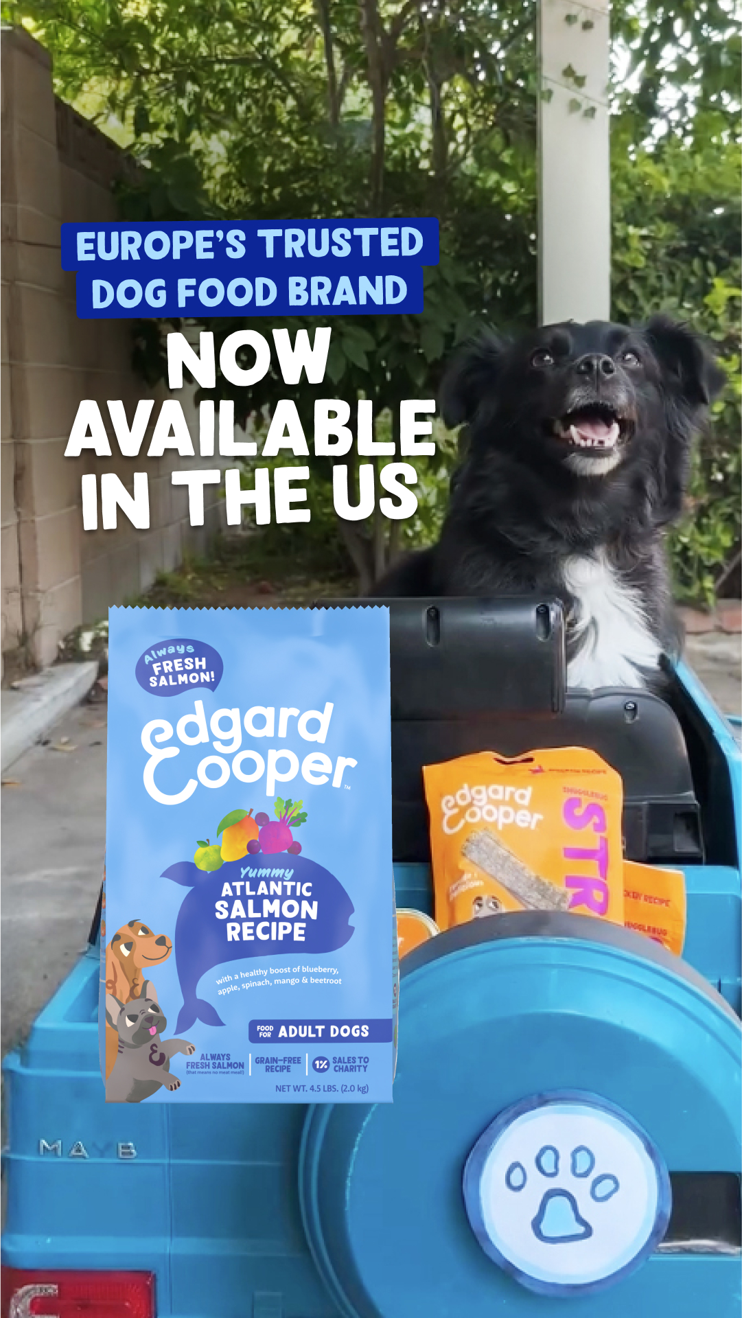 Edgard & Cooper Facebook ad from Feb 9, 2026