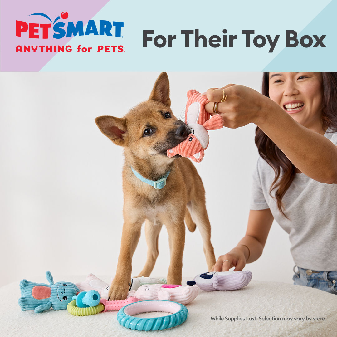 PetSmart Facebook ad