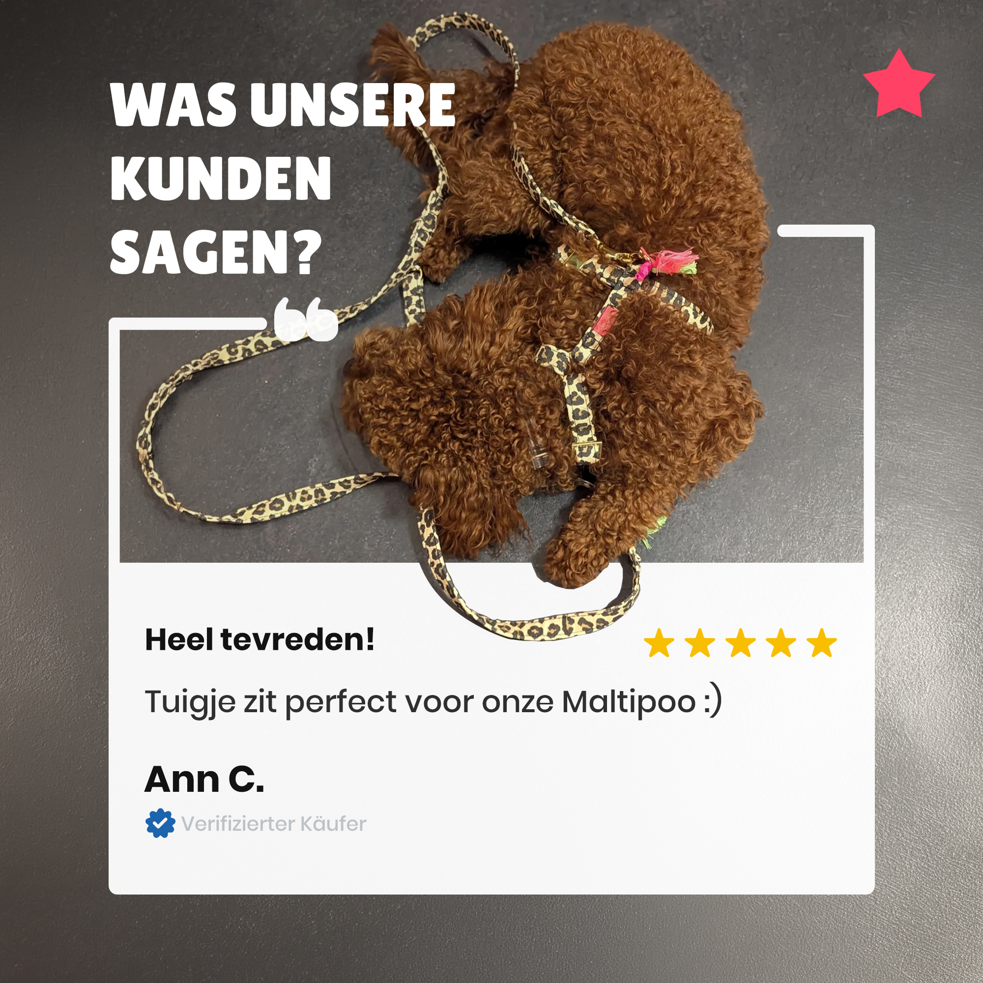Pellina Dog Accessories Facebook ad