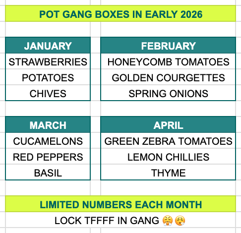 POT GANG Facebook ad: THIS MONTH ONLY
