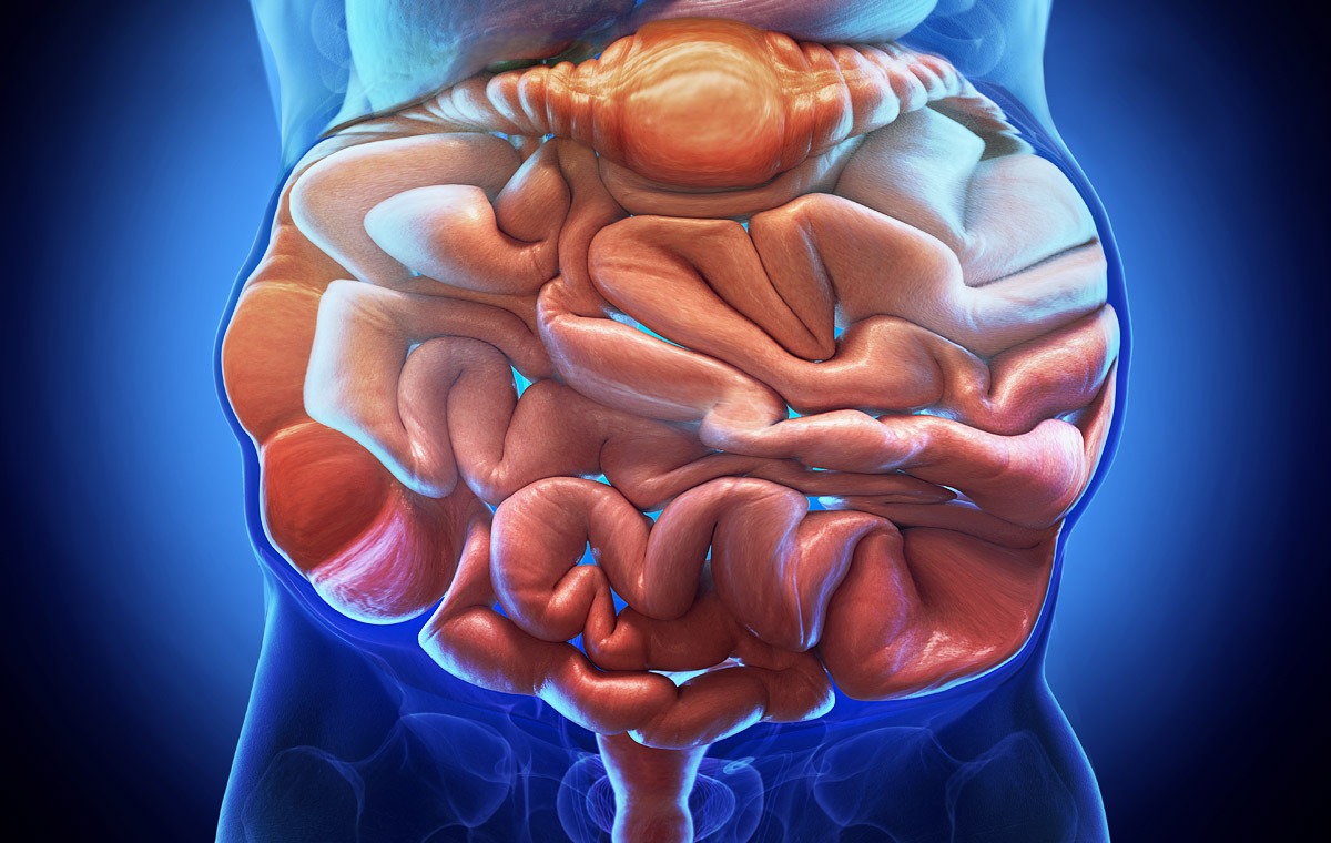 ProCombo - probiotic + prebiotic Facebook ad