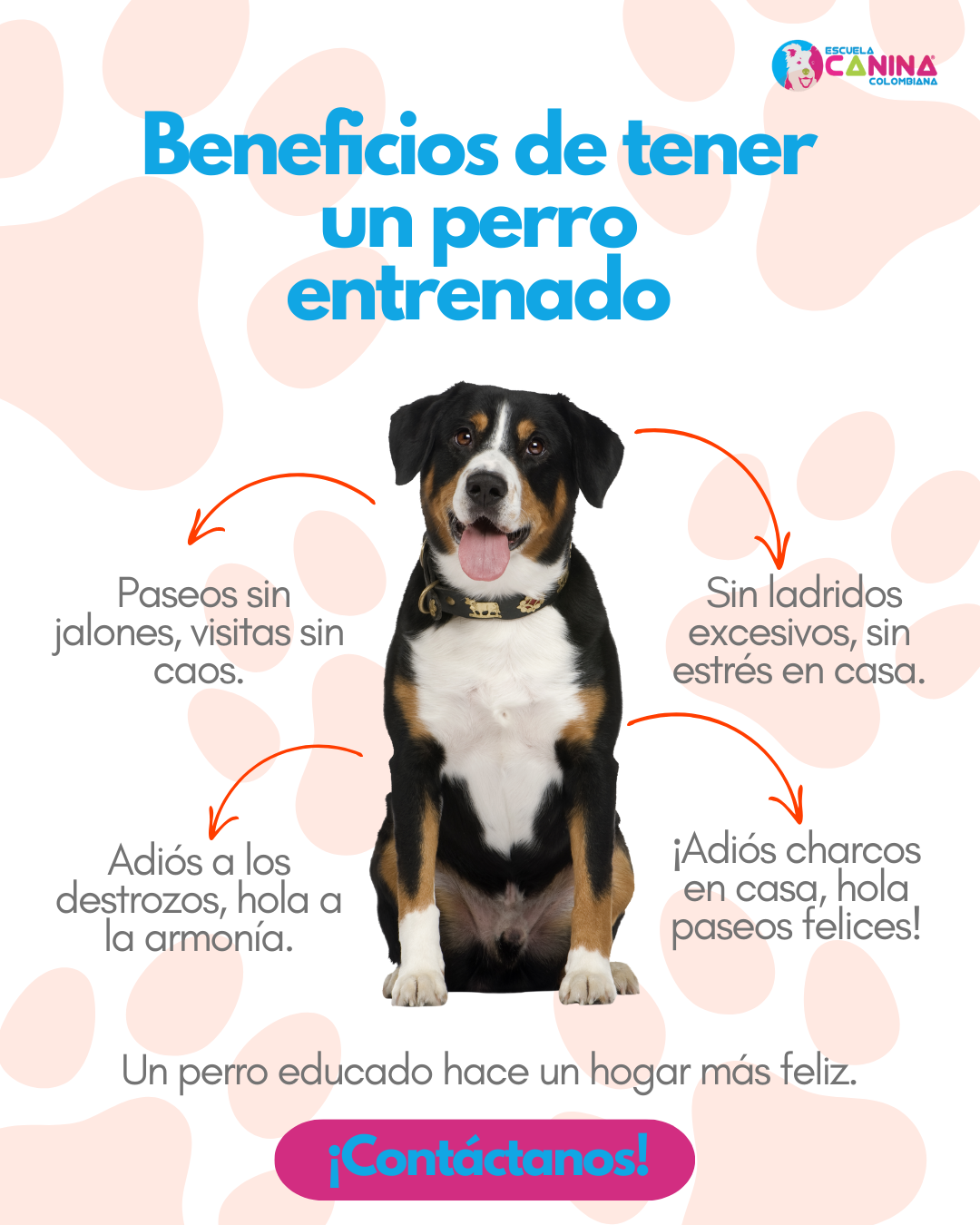 Escuela Canina Colombiana Facebook ad