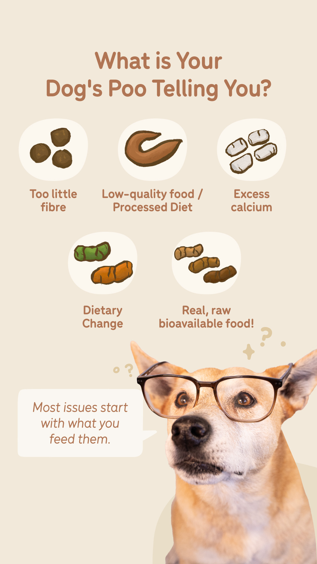 Big Dog Pet Foods Facebook ad