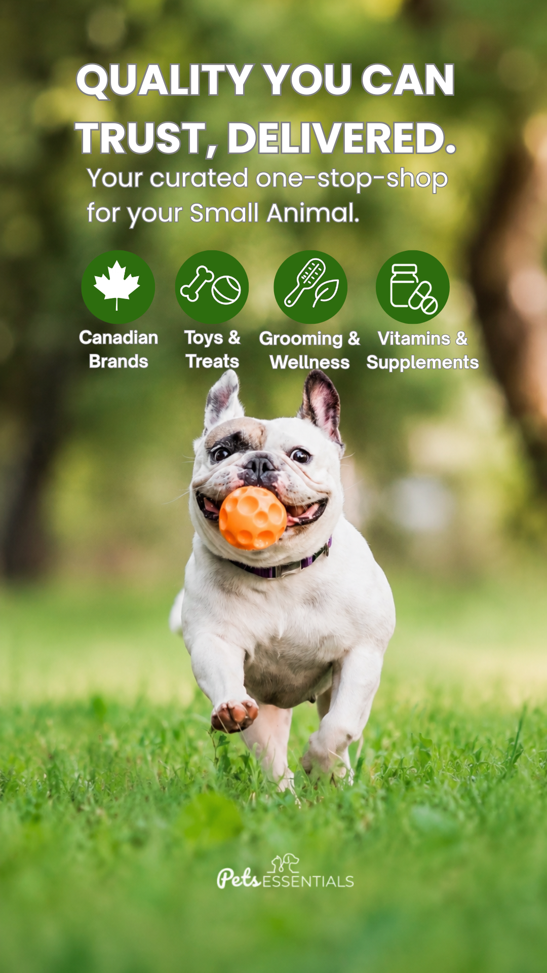 Pets Essentials Facebook ad