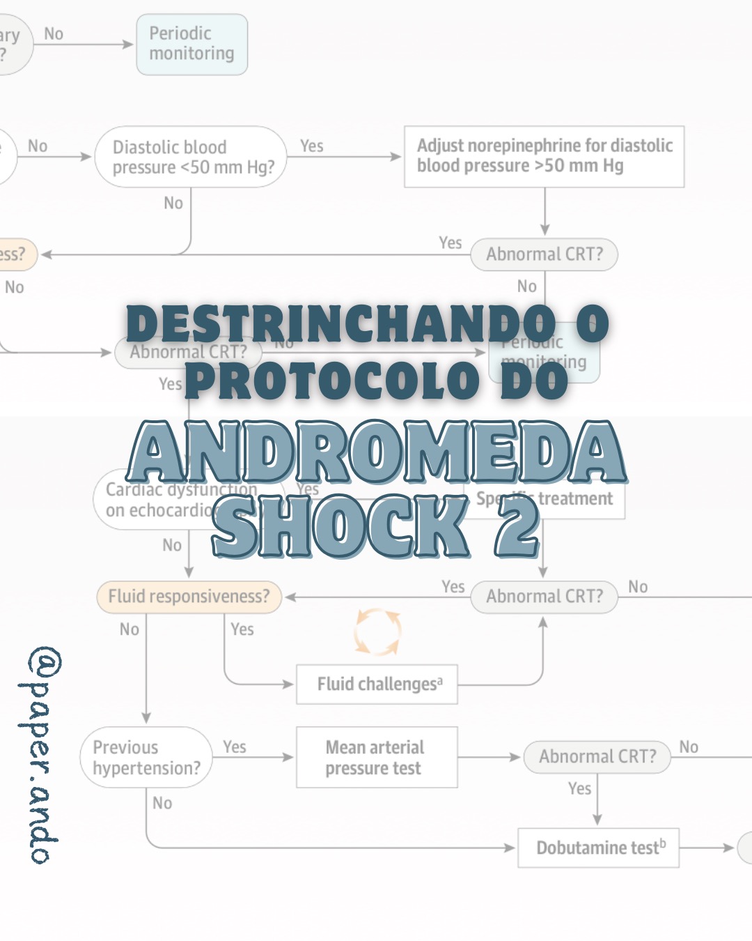 paper.ando Facebook ad: Protocolo de Ressuscitação Hemodinâmica no ANDROMEDA-2: o…