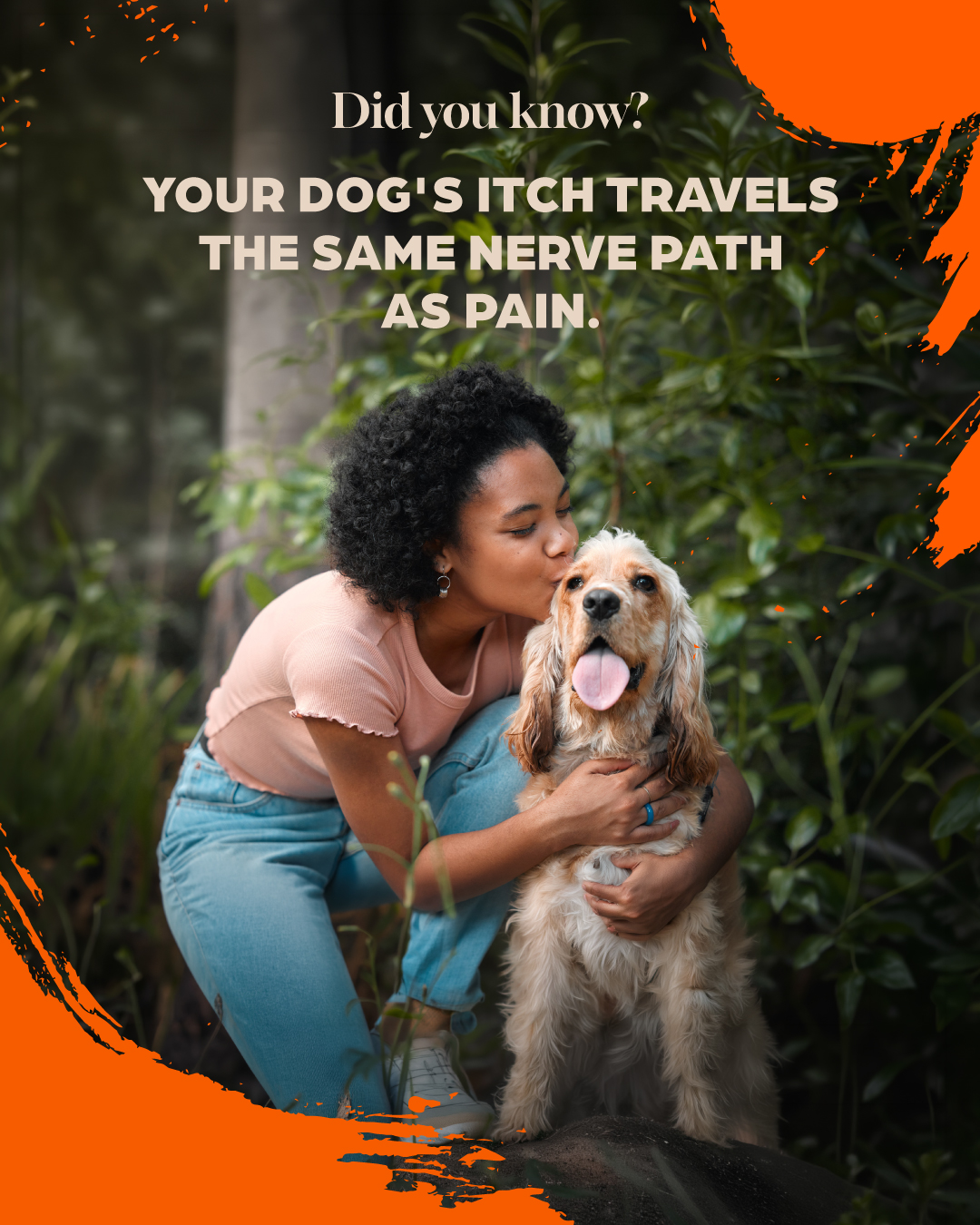 Itchy Pet Facebook ad: Scientists found that the sensation of an itch…