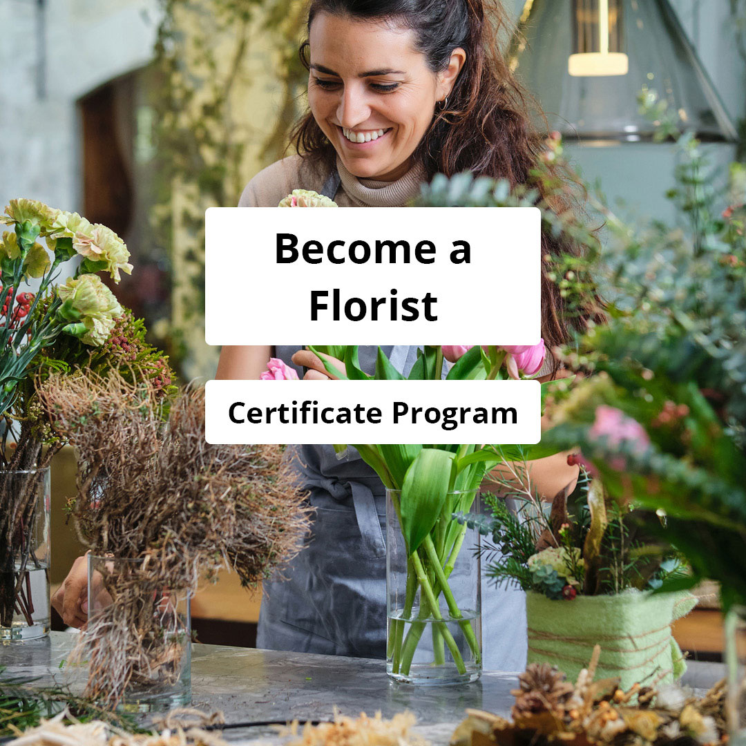 IAP Career College Facebook ad