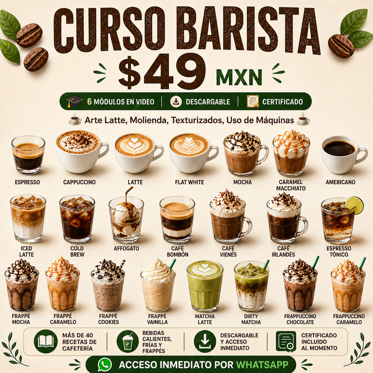 Barismo al Instante Facebook ad: Curso Certificado (5/5)