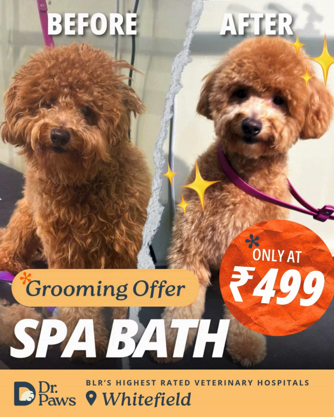 Dr Paws Facebook ad: Complete Pet Grooming at ₹499