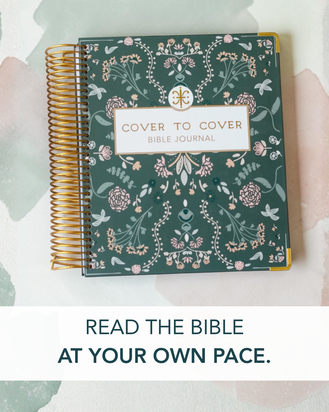 Amanda Stores Facebook ad