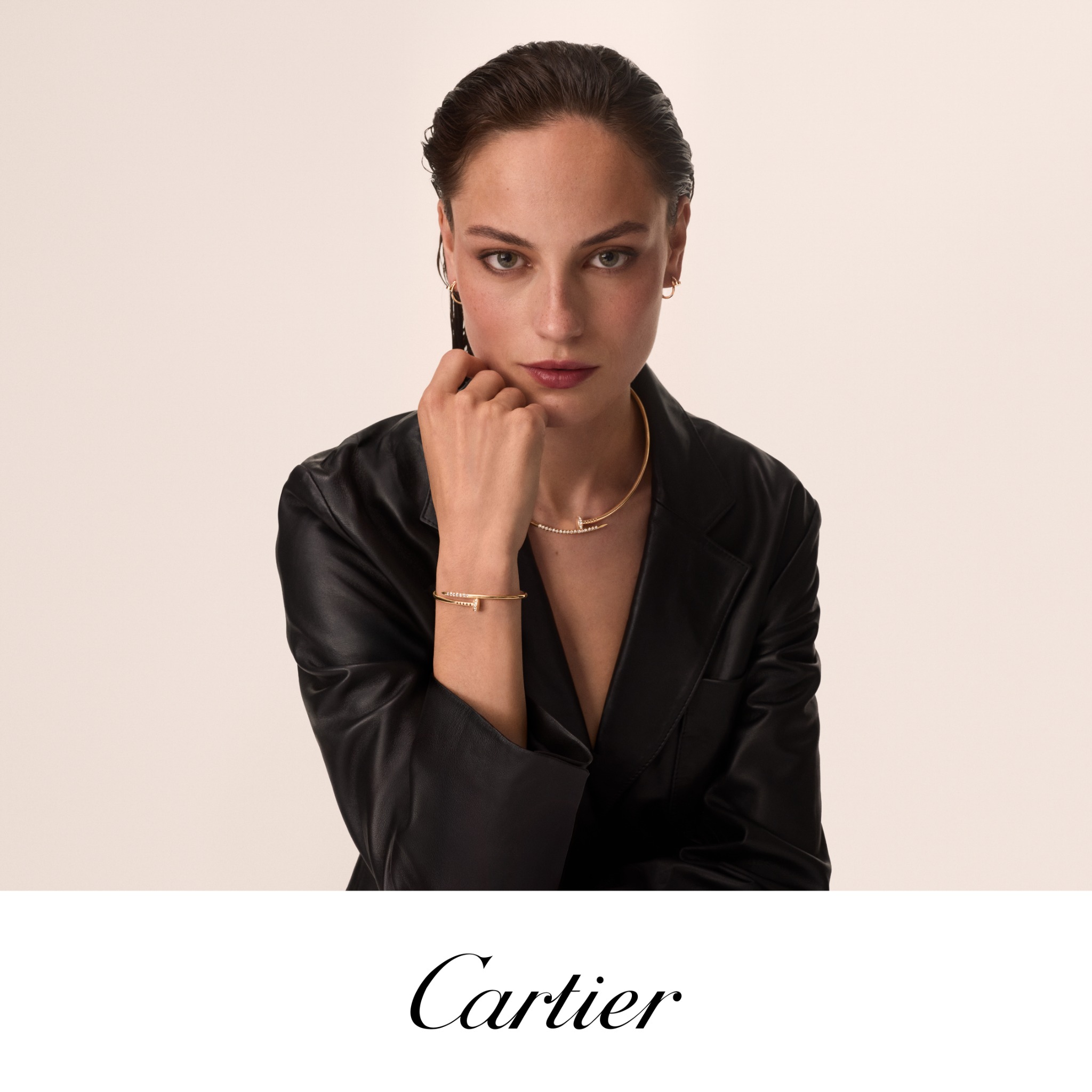 Cartier Facebook ad