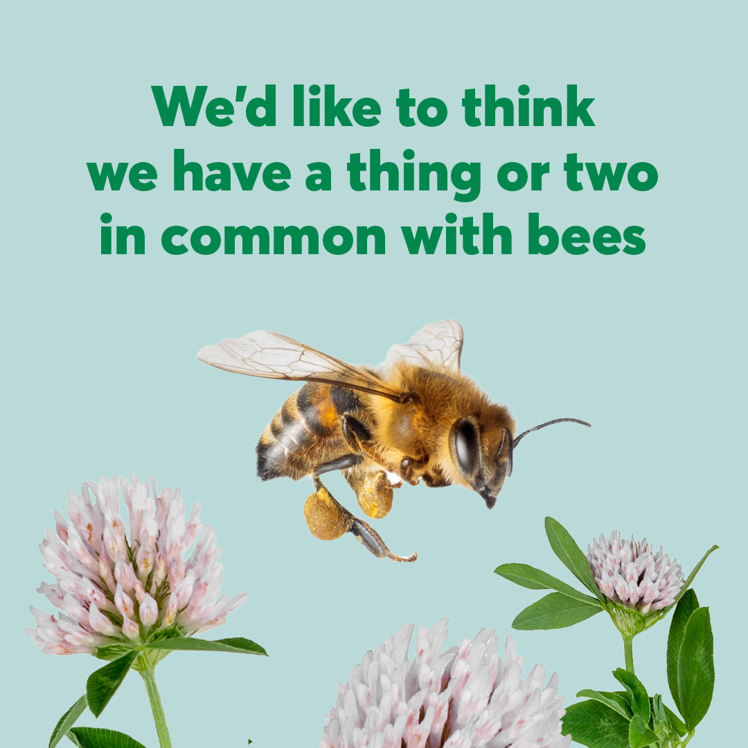 Desjardins Group Facebook ad