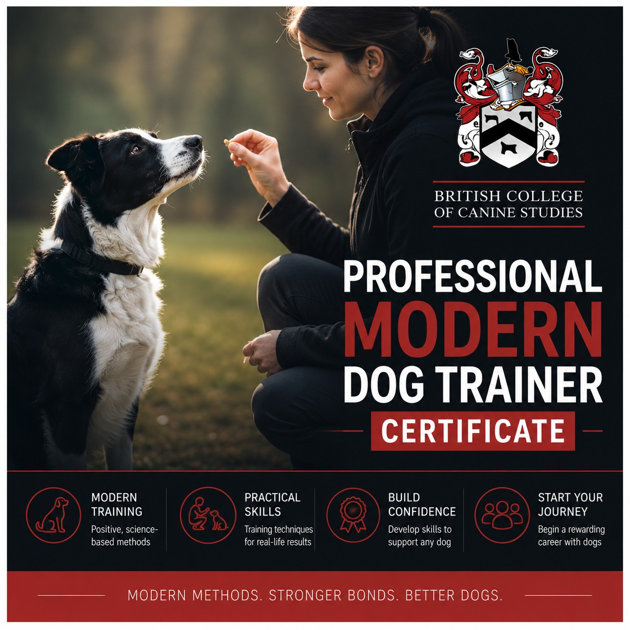 British College of Canine Studies Facebook ad: Home - BCCS