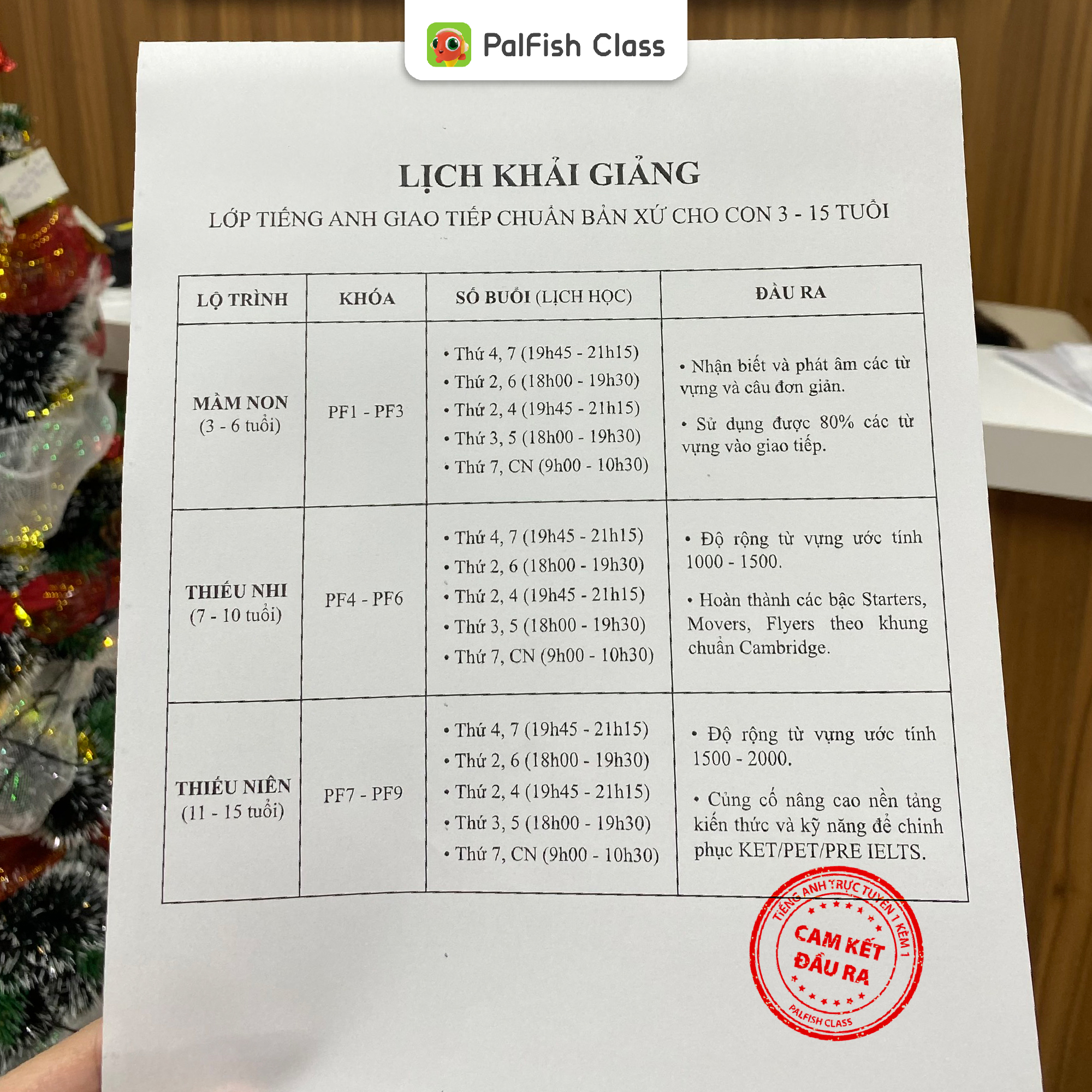 PalFish - Nền tảng Tiếng Anh trẻ em trực tuyến 1-1 lớn nhất thế giới Facebook ad