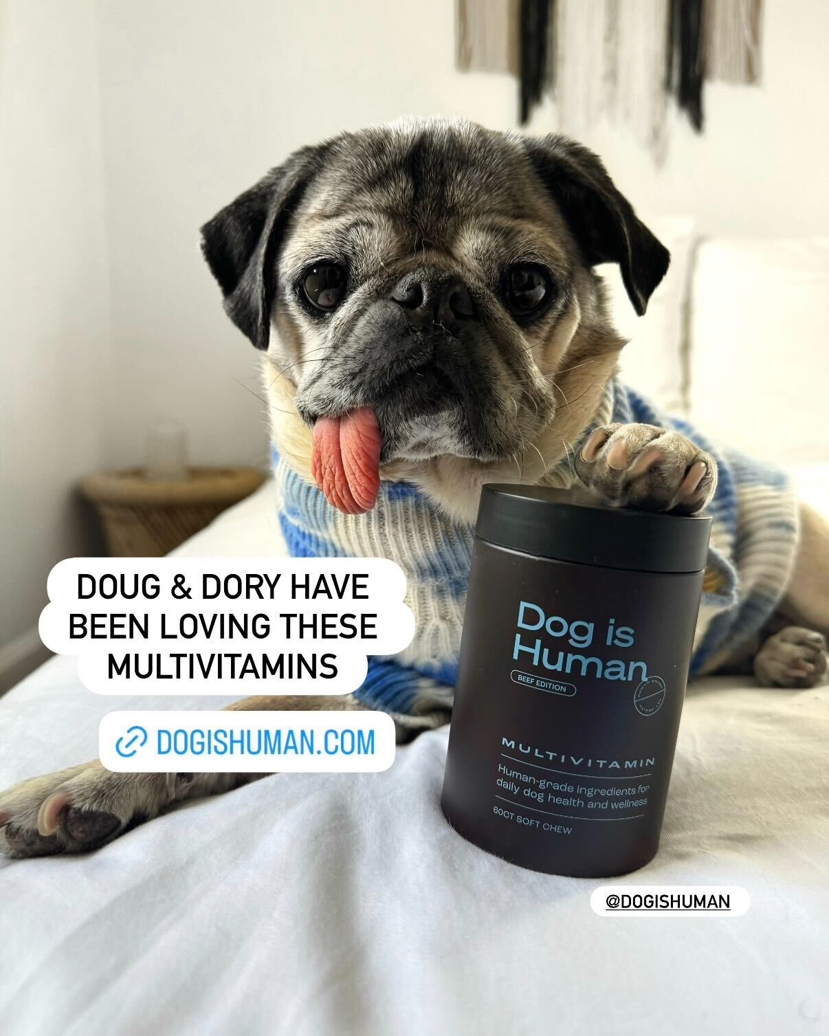 Doug The Pug Facebook ad from Mar 24, 2026