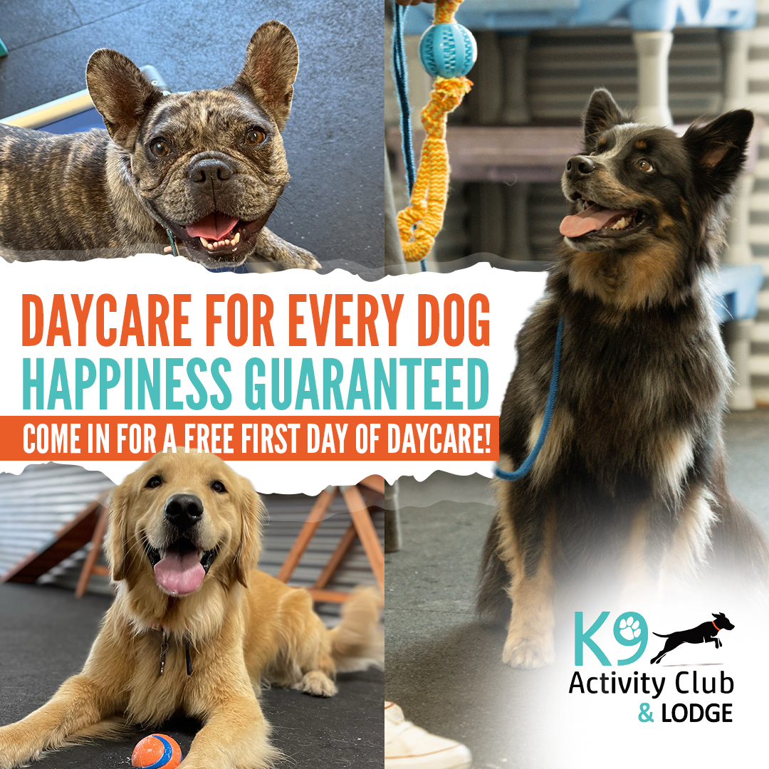 K9 Activity Club Training Facebook ad: Free Daycare Pass When You Tour Our 1.5-Acre Dog Resort!