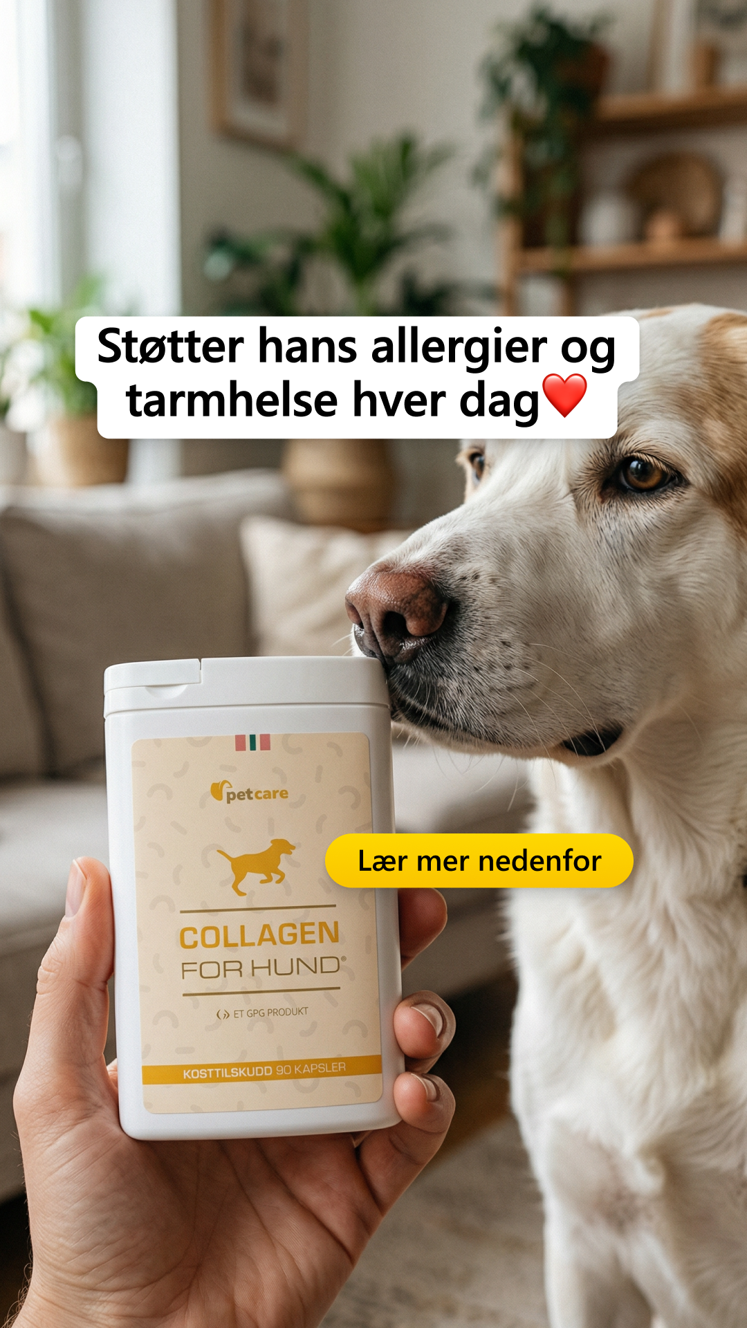 Collagen for hund Facebook ad: Prøv Collagen For Hund gratis!