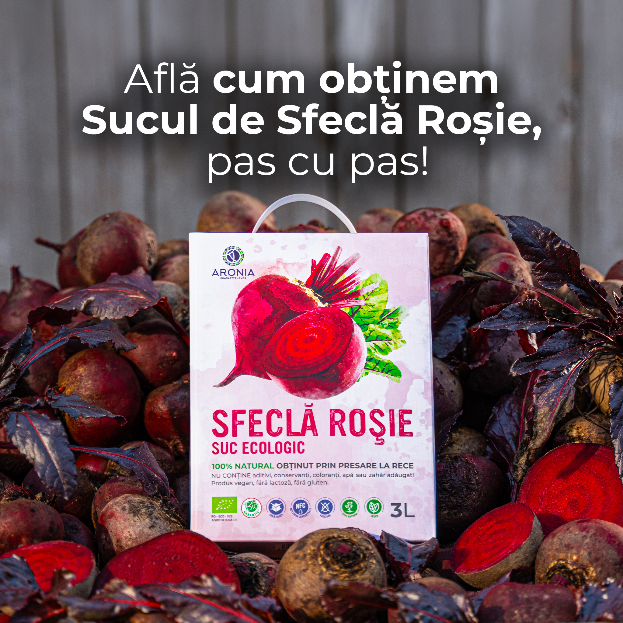 Aronia Charlottenburg Facebook ad