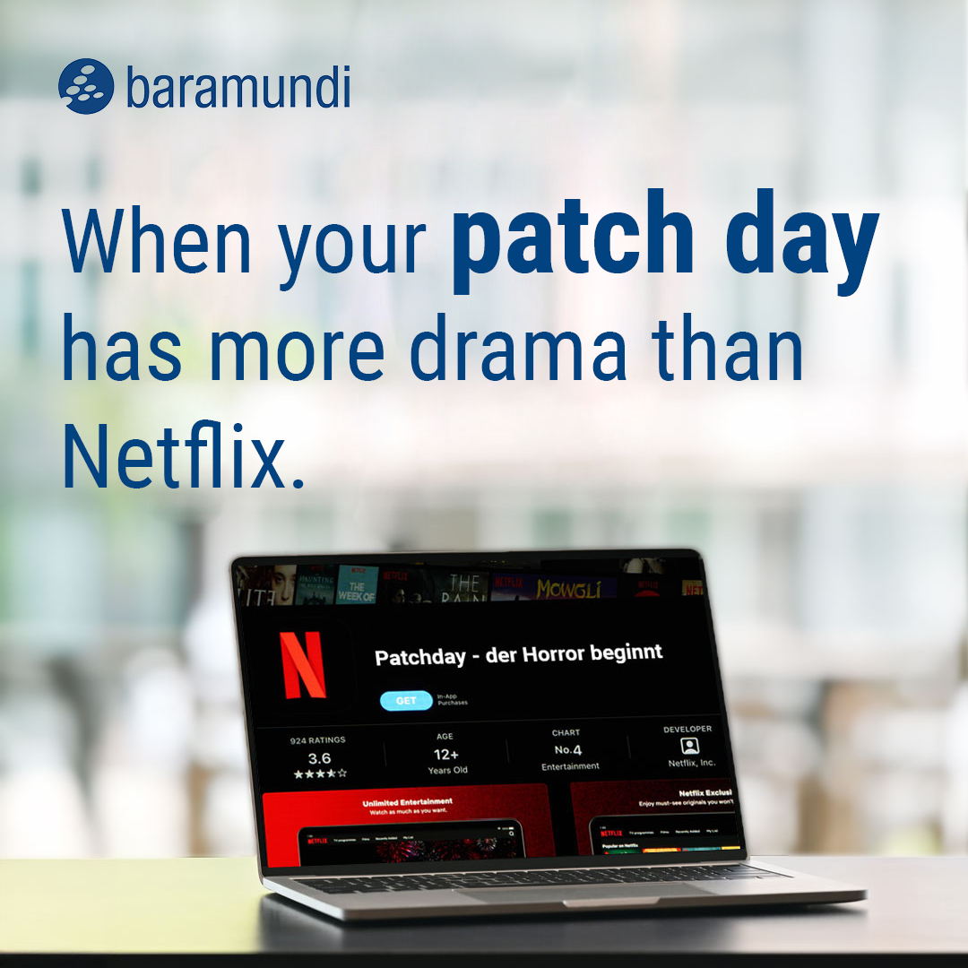 baramundi software Facebook ad