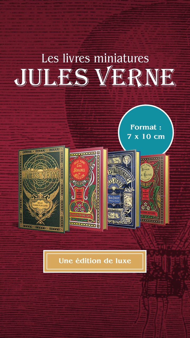 Hachette Collections Facebook ad